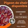 Viande de pigeon thumb 0