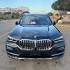 BMW X5 2023 thumb 0