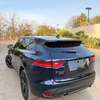 Jaguar venant thumb 9