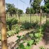 LIVRAISON FRUIT LEGUME ENGRAIS SEMENCE CAMION FRIGO 20M3 thumb 1