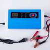 Chargeur Batterie 12V24V thumb 2