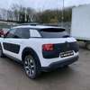 C4 Cactus thumb 10