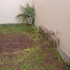 villa louer mermoz thumb 3