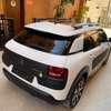 C4 cactus thumb 12