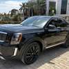 Kia Telluride SX 2020 thumb 0