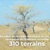 CITES DES SENEGALAIS DE L'EXTERIEUR MBORO/DIAS thumb 6