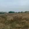 21 hectares à vendre à sindia entre Nguekhokh et Ngerigne thumb 3