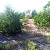 Ferme agricole à vendre à Darou koudoss thumb 1