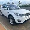 LAND ROVER DISCOVER SPORT 2019 thumb 2