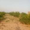Terrain agricole vers Diogo et mboro thumb 8