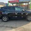Hyundai Santa Fe thumb 2
