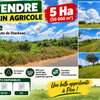 CHAMPS DE 5HA EN BORDURE DE ROUTE À PIRE thumb 0