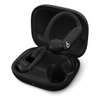 Powerbeats Pro 2 thumb 2