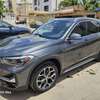 BMW X1 2020 thumb 0