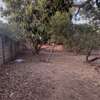 TERRAIN A VENDRE A NGUERIGNE thumb 1
