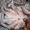 FRUITS DE MER ET POISSONS thumb 10