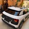 C4 cactus thumb 13
