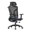 Fauteuil orthopédique thumb 0