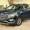 Hyundai Santa fe 2017 thumb 1