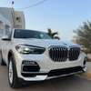 Bmw x5 2019 thumb 11