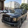 HAVAL - SPECIAL EDITION - 2023 thumb 0