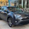 Toyota RAV4 2017 thumb 1