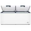 CONGELATEUR 850LITRES FINIX HORIZONTAL 2PORTES BLANC thumb 0