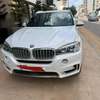 BMW X5 Hybrid-7 l/100 km thumb 3