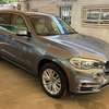 BMW X5 XDRIVE 35i VENANT thumb 0