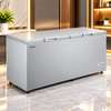 CONGELATEUR 660LITRES HISENSE HORIZONTAL GRIS thumb 1