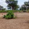 Terrain Agricole de 21,05 Hectares vers Thiénaba – Thiès thumb 4