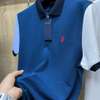 Polos Ralph & Hackett thumb 2
