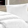 Couette avec drap blanc unique thumb 3