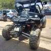 Buggy zforce 1000 thumb 2