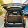 Kia carnival 2017 thumb 7