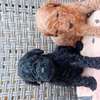 Caniche thumb 8