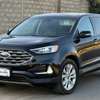 FORD EDGE TITANIUM 2022 thumb 0
