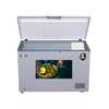 CONGÉLATEUR 550 LITRES ELACTRON SILVER thumb 0