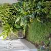 villa louer mermoz thumb 1