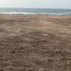TERRAIN 3002 m²  PIEDS DANS L'EAU ALMADIES thumb 2