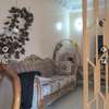 Canapé classique royal 8 places velours beige doré thumb 0