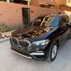 BMW X3 _2019 thumb 1