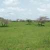 Terrains à usage agricole à Mboro thumb 7