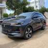 Changan  2022 thumb 1