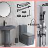 Chaise anglaise et lavabo complet thumb 10