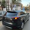 Cx9 signature thumb 0