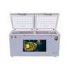 Congélateur 750 litres Elactron horizontal silver thumb 0