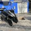 Quadro (marque suisse)Moteur :350 thumb 3