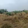 21 hectares à vendre à sindia entre Nguekhokh et Ngerigne thumb 0