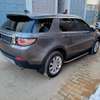 Discovery Wantérr automatique, gasoil 2017 thumb 5